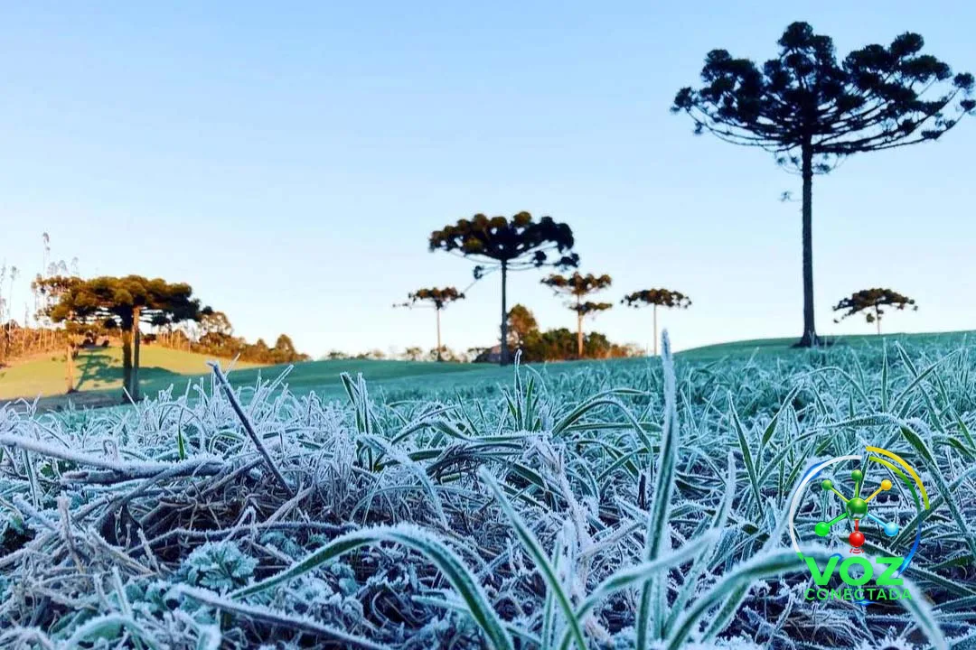 Frio intenso traz risco de geada ao sul do Paraná nesta semana