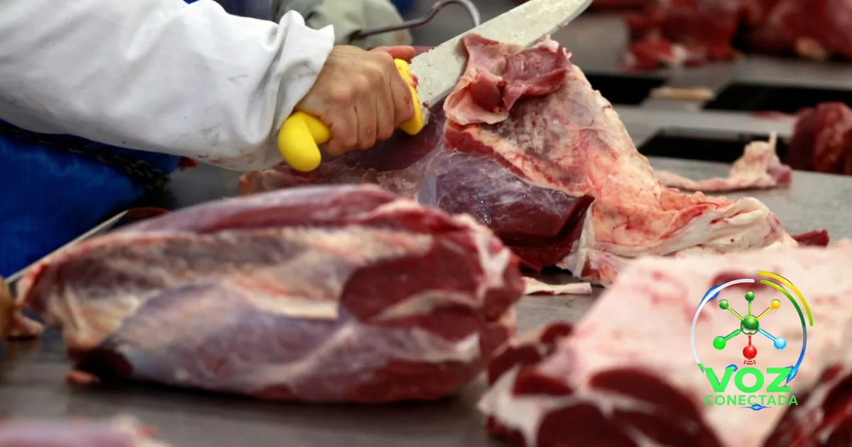 Exportação de carne bovina bate recorde e fatura US$ 9,85 bilhões no 1º semestre