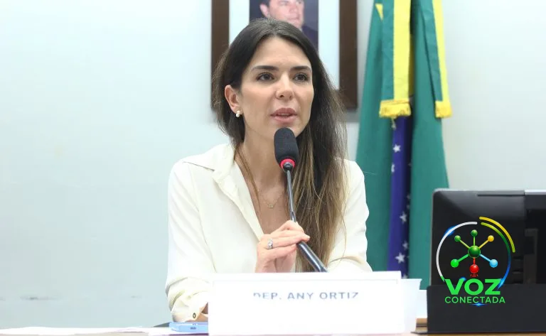 Comissão da Câmara tira da Anatel e entrega ao Cade a fiscalização das grandes plataformas digitais