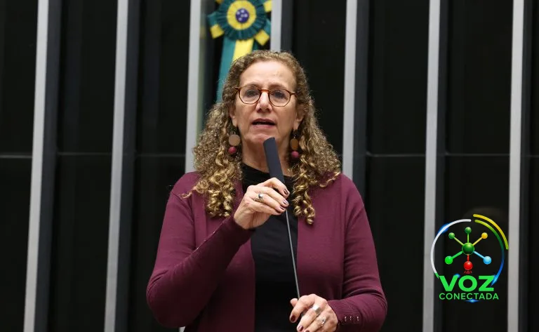 Câmara aprova, por 470 a 1, sistema nacional de combate à violência contra mulheres e meninas