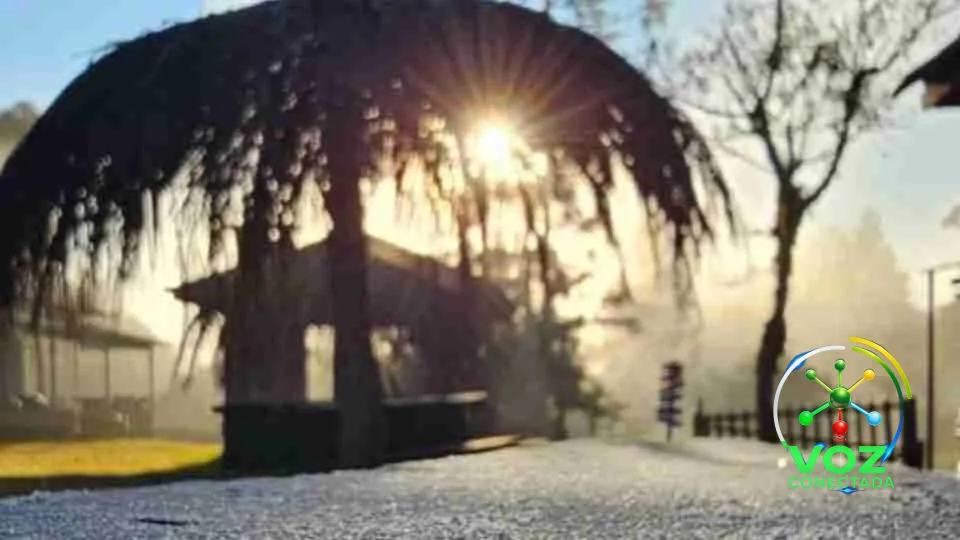 Geada cobre o Paraná e General Carneiro tem -0,6°C, a menor temperatura do Estado