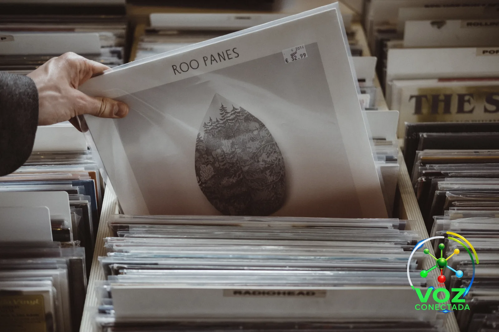 Discos de vinil numa loja