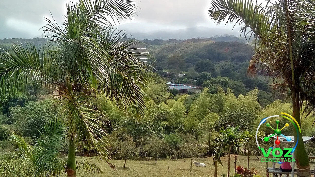 Explosivos destroem pedágio em obras na Rodovia Pan-Americana um dia após a posse de De la Espriella