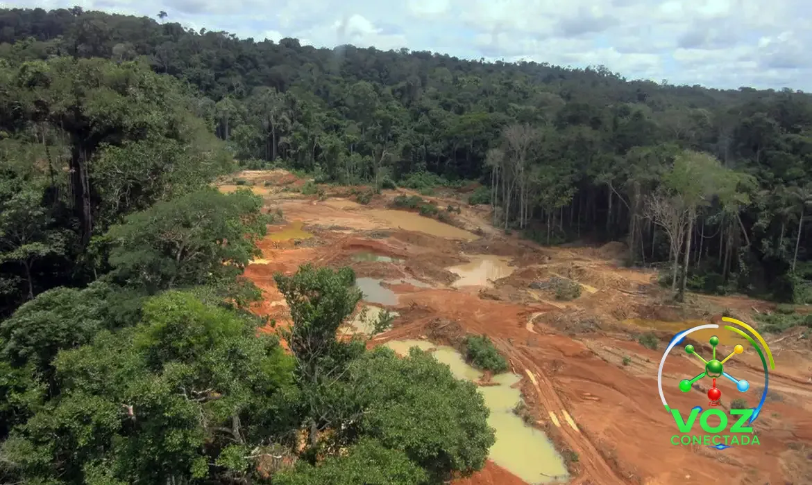 STF dá 24 meses ao Congresso para editar lei sobre mineração em terras indígenas