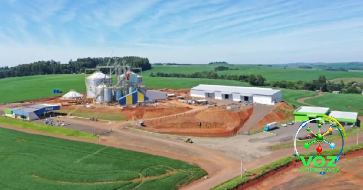 BNDES aprova R$ 42,8 milhões para a Coasul ampliar em 24 mil toneladas a armazenagem de grãos no Sudoeste do Paraná