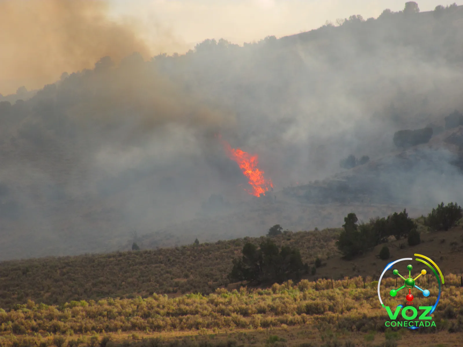 Incêndio florestal em Nevada