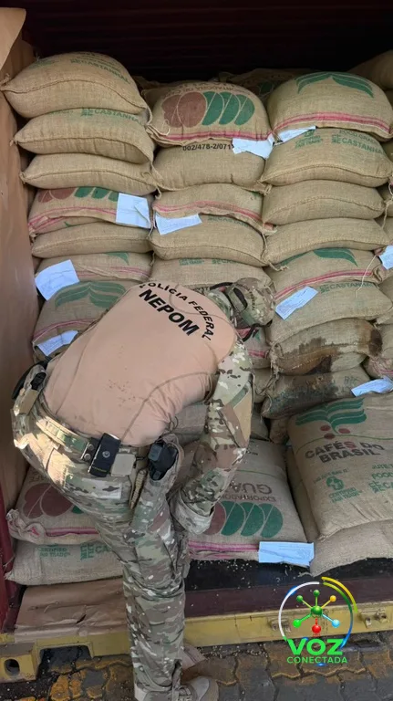 PF apreende 702 kg de cocaína escondidos em carga de café no Porto de Santos