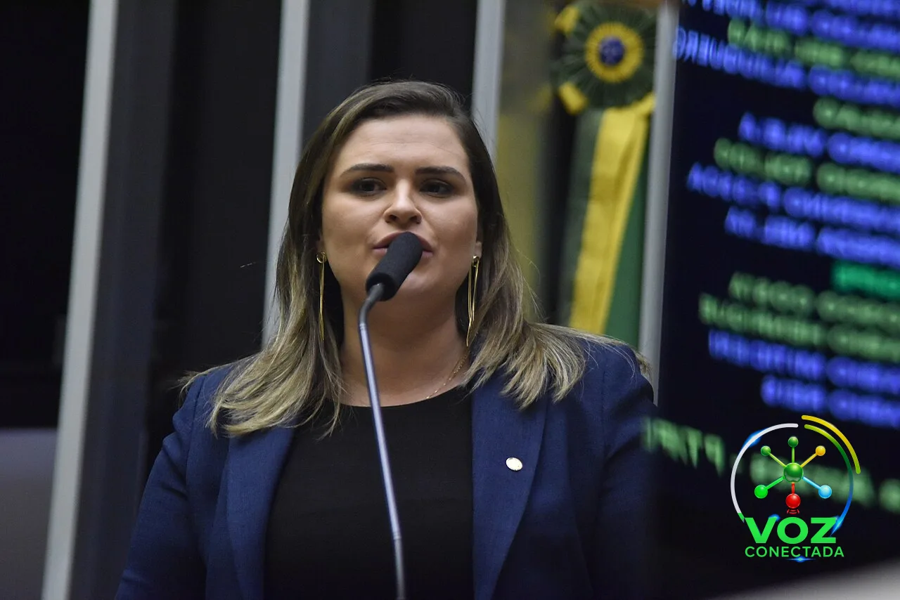 Comissão da Câmara aprova porte de arma para empresários e MEIs em atividade de risco