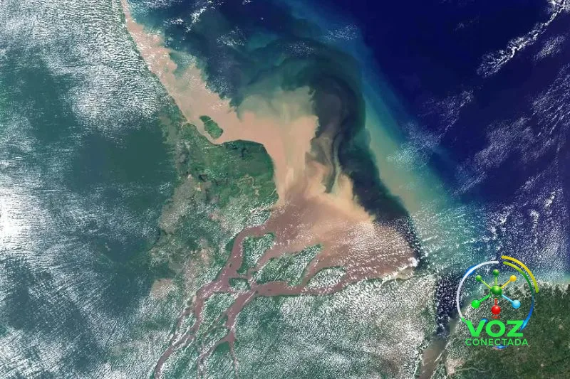MPF dá cinco dias para o Ibama explicar ampliação da licença da Petrobras na Foz do Amazonas