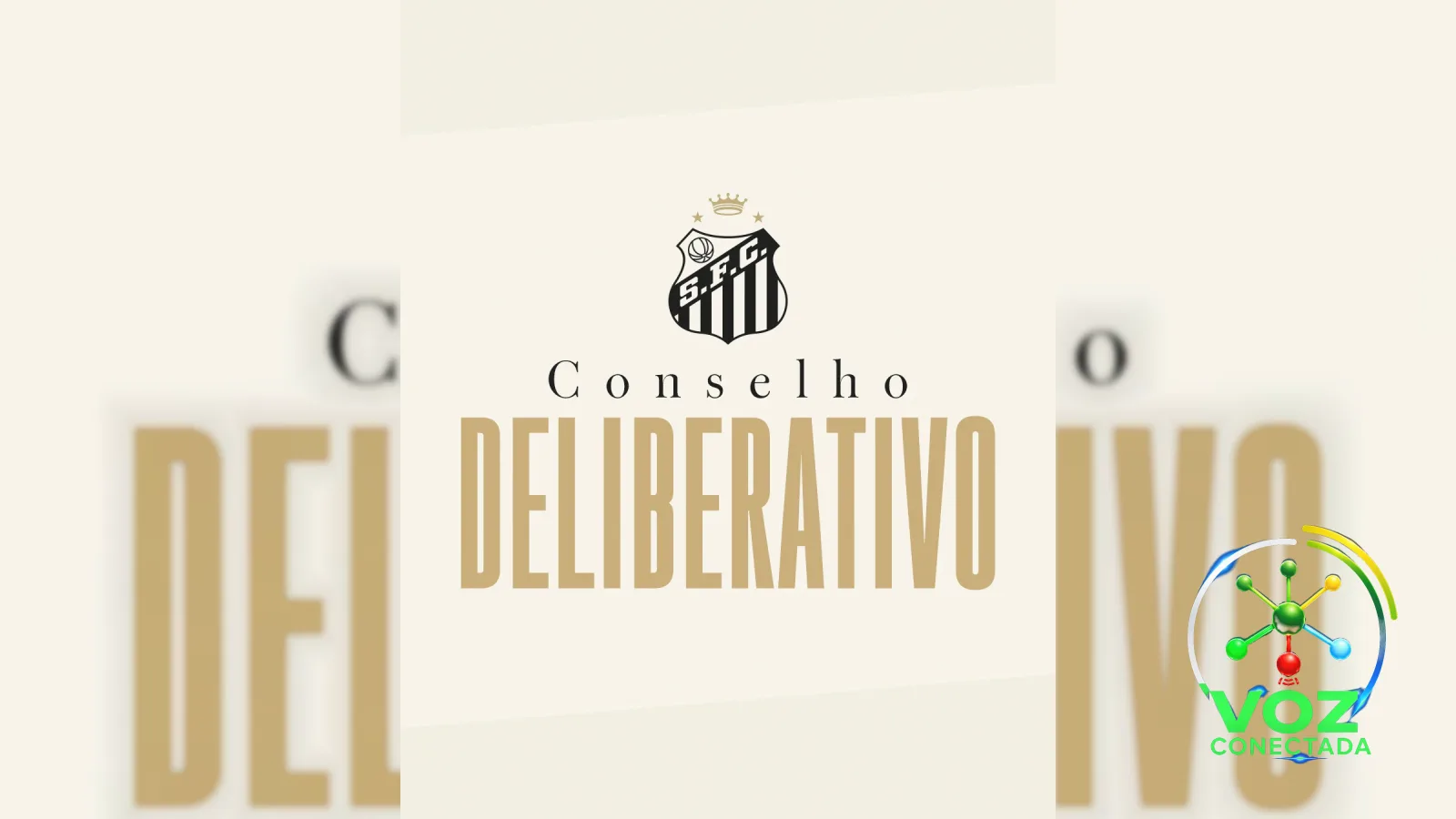 Santos adia sessão extraordinária e reforça transparência documental