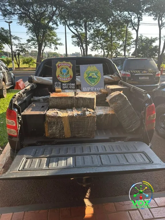 PF e PM apreendem quase uma tonelada de drogas em cinco ações na fronteira do Paraná em quatro dias