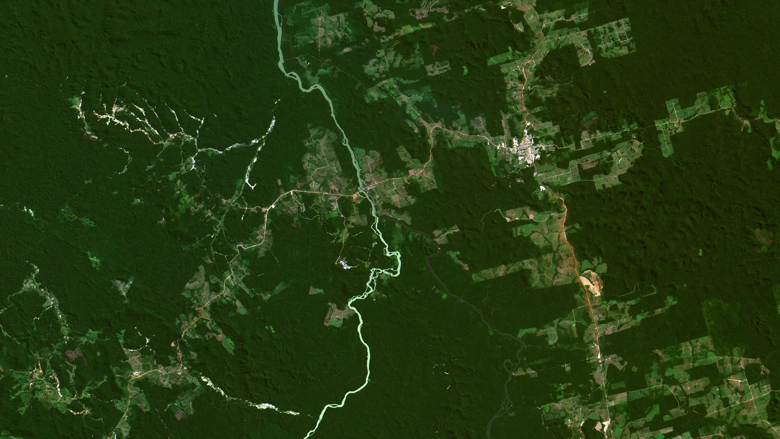 MapBiomas: Amazônia teve 693 mil hectares de desmatamento em 2025, o menor valor da série histórica do projeto