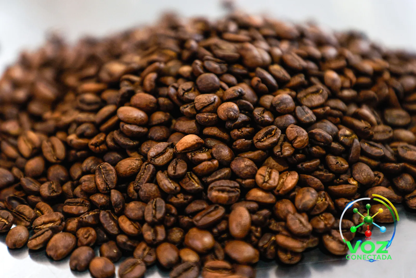 Soja do Paraná exporta 3% mais e café fica mais barato, mostra boletim do Deral